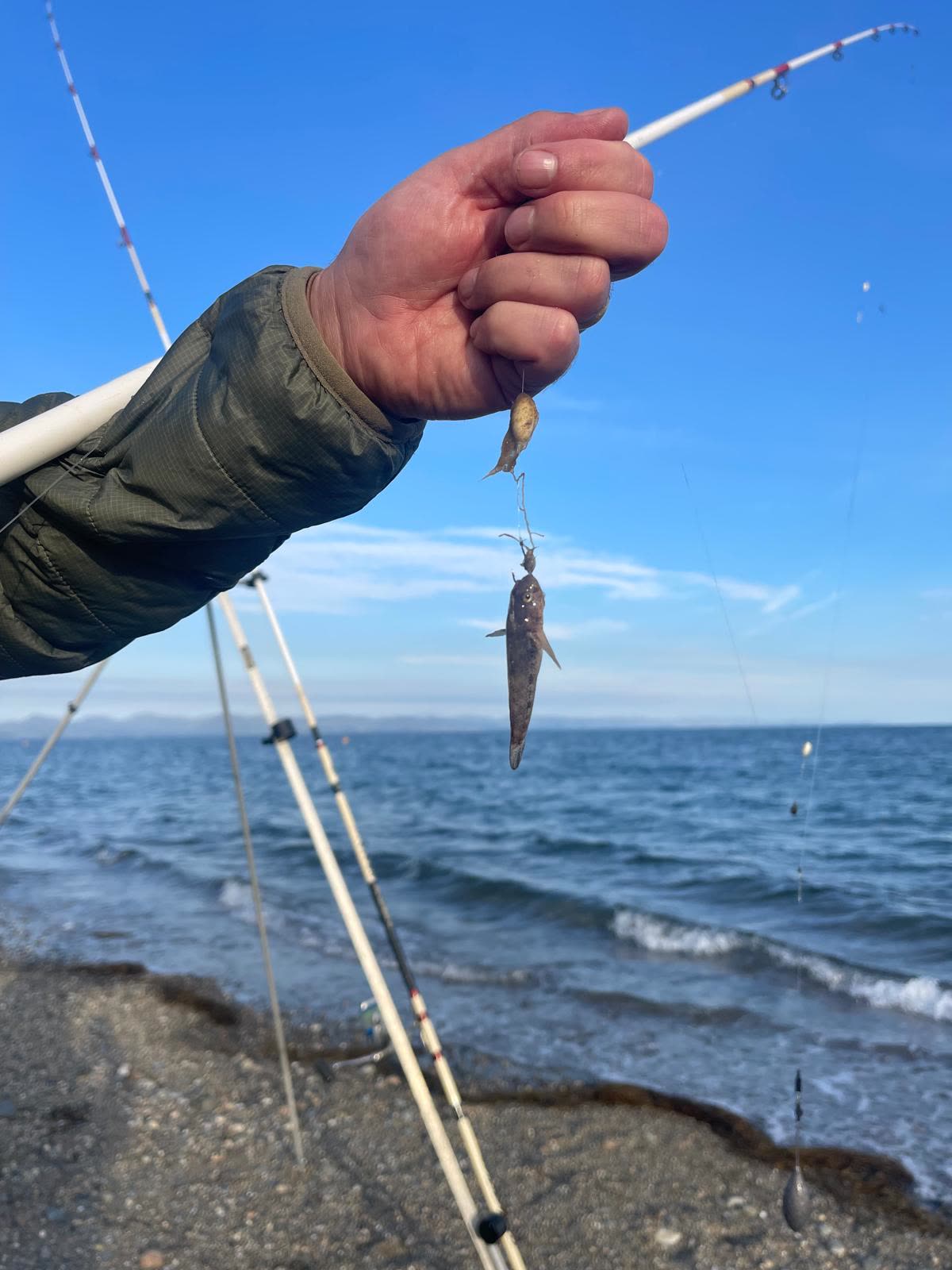 Bait presentation makes more difference than most people expect