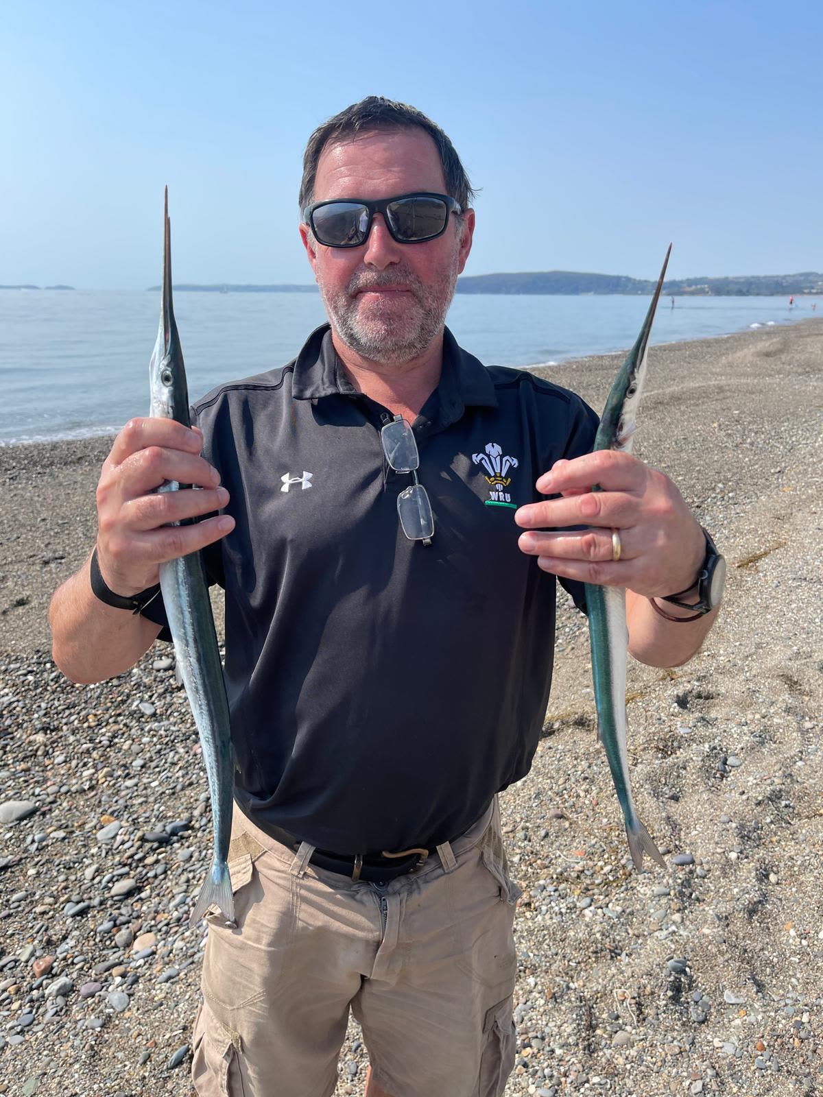 A pair of summer garfish