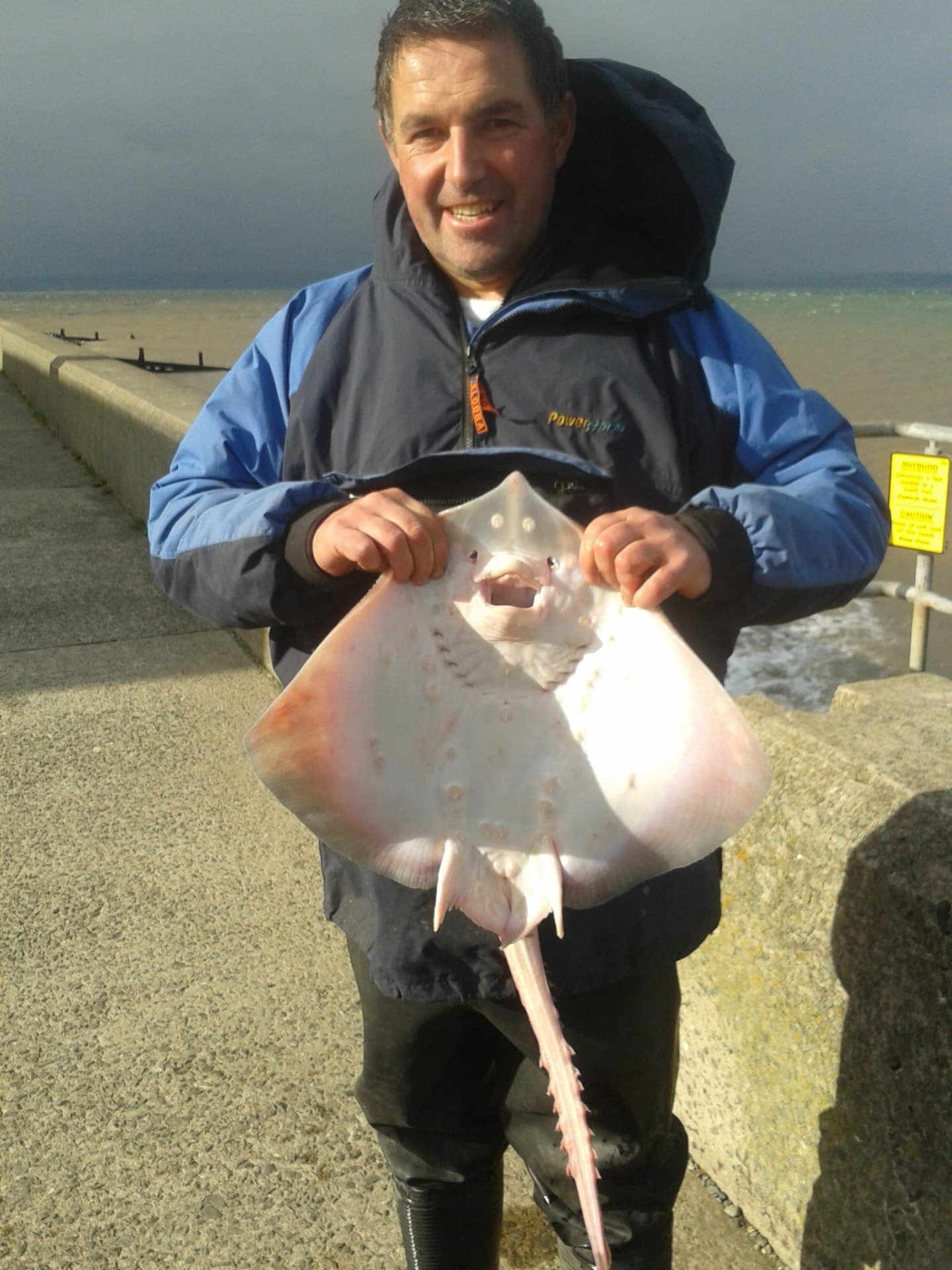 A thornback ray from a sea wall mark