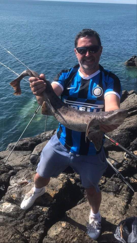 A dogfish from a rock mark on a bright day