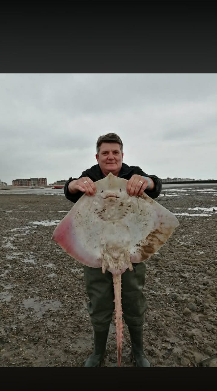 A fine thornback ray from the beach