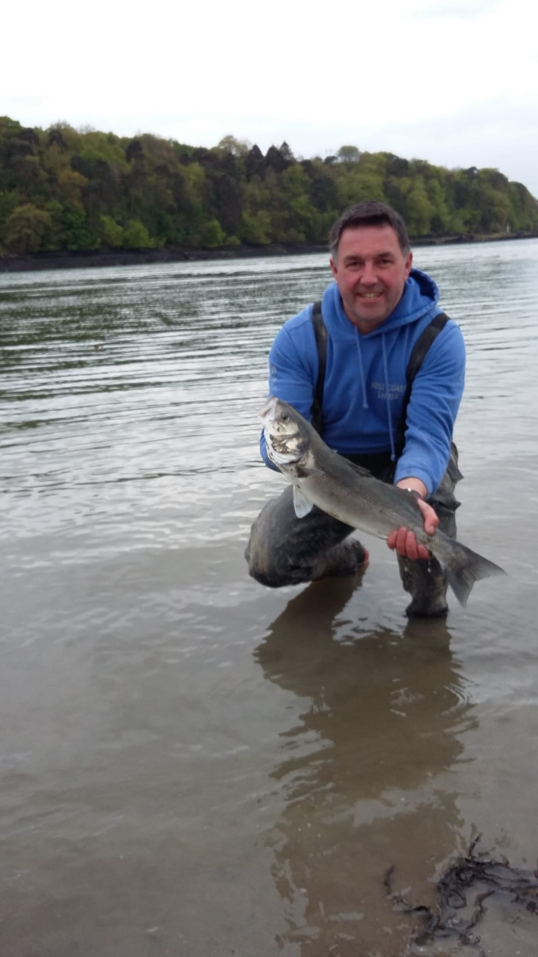A bass held in the shallows before swimming off strongly