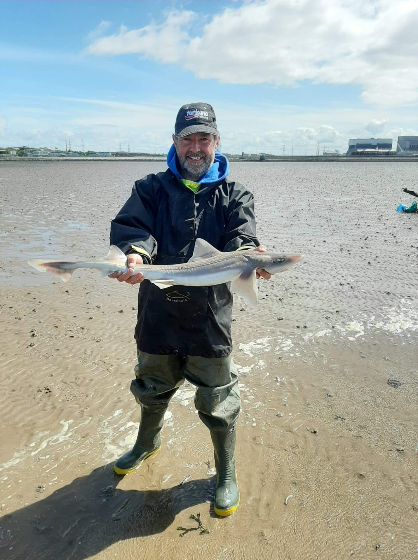 An estuary smoothhound taken over clean sand