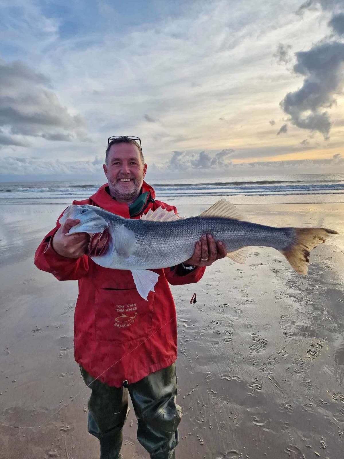 A bass caught at sunset on a North Wales beach
