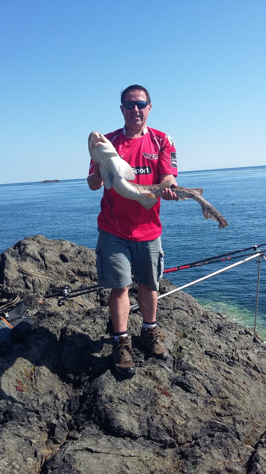 A bull huss from the rocks, held and returned quickly