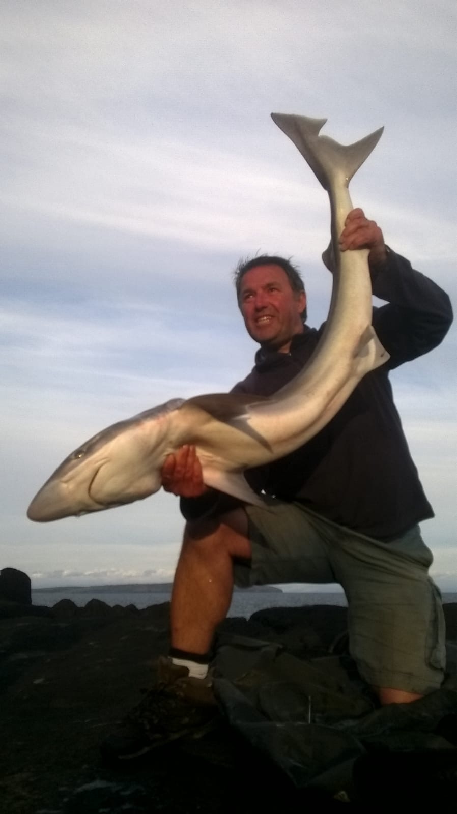 A tope landed from a rock mark — the fish of many anglers' careers