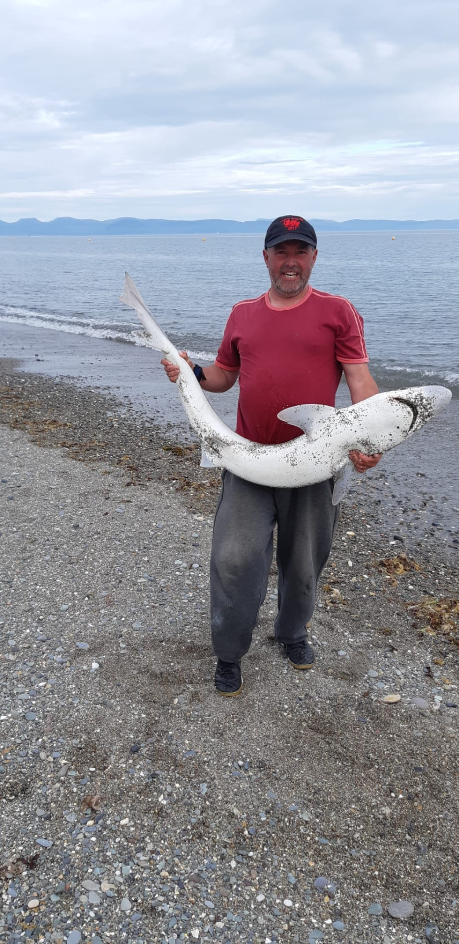 A good shark from a North Wales beach