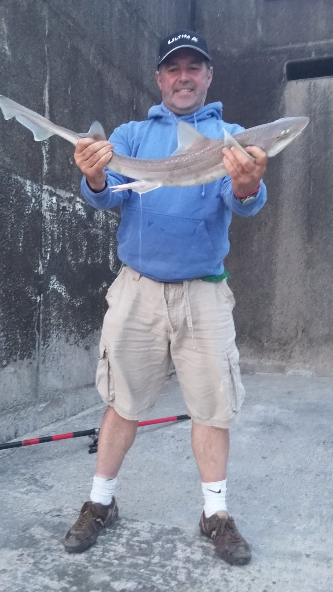 A smoothhound from a harbour wall on a flooding tide
